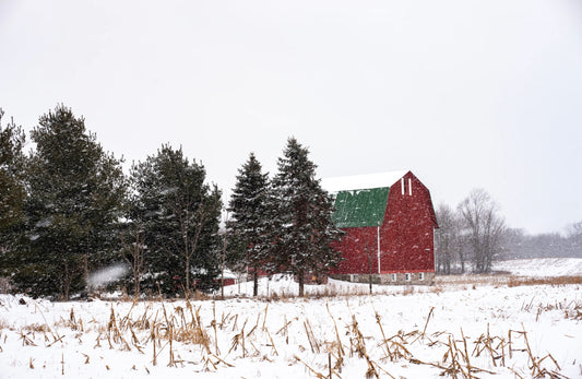 10 Practical Tips for Sustainable Living in the Countryside: Challenges and Rewards